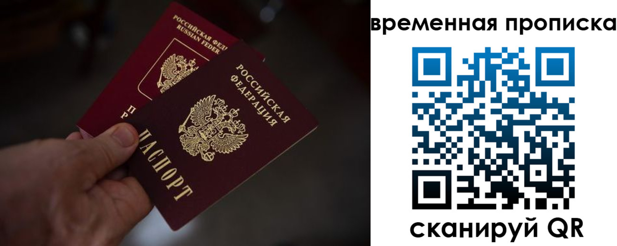 прописка в Ленинградской области